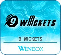 9wickets sports game icon
